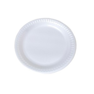 PRATO DE ISOPOR RASO 23CM TOTALPLAST  PC C/ 20UNID